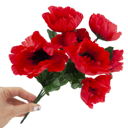 CV32327 MAK BUKIET X7