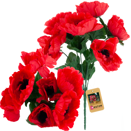 CV32327 MAK BUKIET X7