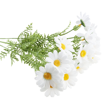 Artificial daisies, daisy, chrysanthemum, chamomile, bouquet of flowers