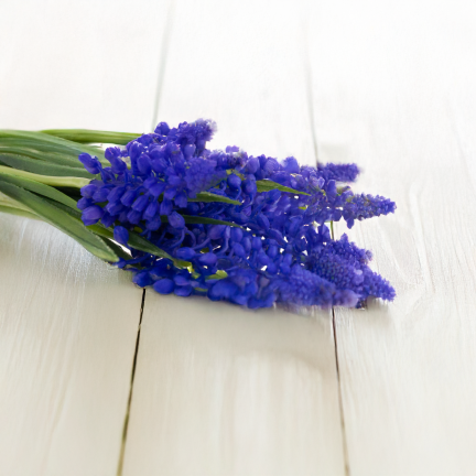 CV32904-3 SAPHIR FRÜHJAHR GUMMI BOUQUET KÜNSTLICHE ALS LIVE-KÜNSTLICHE BLUMEN
