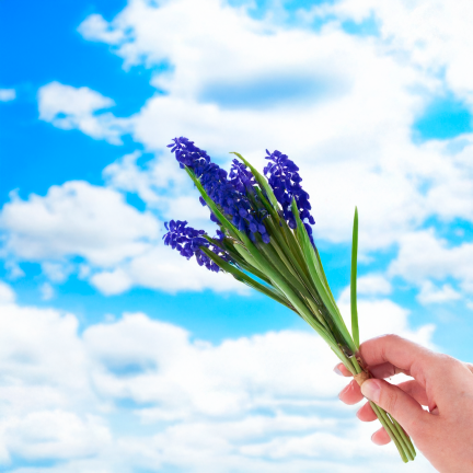 CV32904-3 SAPHIR FRÜHJAHR GUMMI BOUQUET KÜNSTLICHE ALS LIVE-KÜNSTLICHE BLUMEN