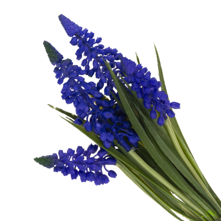 CV32904-3 SAPHIR FRÜHJAHR GUMMI BOUQUET KÜNSTLICHE ALS LIVE-KÜNSTLICHE BLUMEN