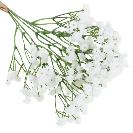 CV32934-1 GYPSOPHILA KYTICE X5 DEKORATIVNÍ VĚTVIČKA S KVĚTY DO VÁZY KOMPOZICE
