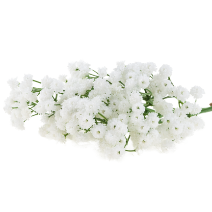 CV32934-1 GYPSOPHILA KYTICE X5 DEKORATIVNÍ VĚTVIČKA S KVĚTY DO VÁZY KOMPOZICE