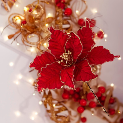 CV34186-6 STERN VON BETHLEHEM BLUME WEIHNACHTSSTERN FÜR WEIHNACHTSBAUM GROSS AUF FEDER SCHILF