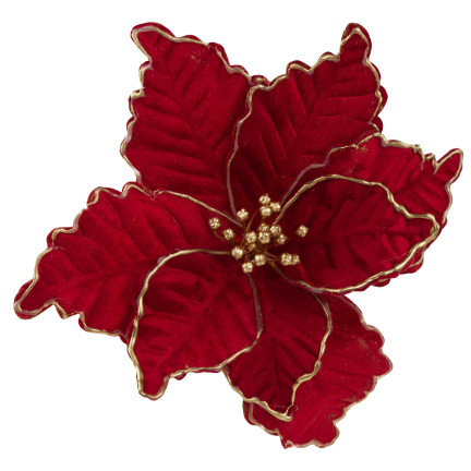 CV34186-6 STERN VON BETHLEHEM BLUME WEIHNACHTSSTERN FÜR WEIHNACHTSBAUM GROSS AUF FEDER SCHILF