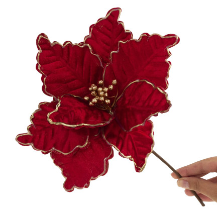 CV34186-6 STERN VON BETHLEHEM BLUME WEIHNACHTSSTERN FÜR WEIHNACHTSBAUM GROSS AUF FEDER SCHILF