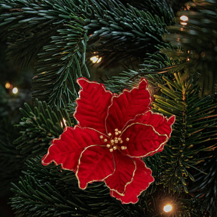 CV34186-6 STERN VON BETHLEHEM BLUME WEIHNACHTSSTERN FÜR WEIHNACHTSBAUM GROSS AUF FEDER SCHILF