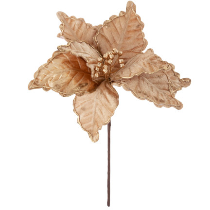 CV34186-3 STERN VON BETHLEHEM BLUME WEIHNACHTSSTERN FÜR WEIHNACHTSBAUM GROSS AUF FEDER SCHILF