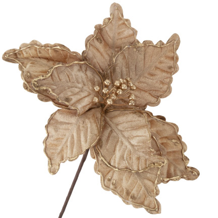 CV34186-3 STERN VON BETHLEHEM BLUME WEIHNACHTSSTERN FÜR WEIHNACHTSBAUM GROSS AUF FEDER SCHILF