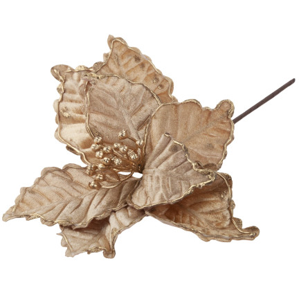 CV34186-3 STERN VON BETHLEHEM BLUME WEIHNACHTSSTERN FÜR WEIHNACHTSBAUM GROSS AUF FEDER SCHILF