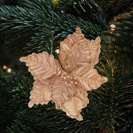 CV34186-3 STERN VON BETHLEHEM BLUME WEIHNACHTSSTERN FÜR WEIHNACHTSBAUM GROSS AUF FEDER SCHILF