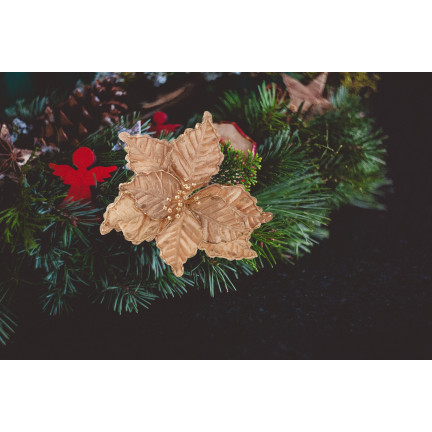 CV34186-3 STERN VON BETHLEHEM BLUME WEIHNACHTSSTERN FÜR WEIHNACHTSBAUM GROSS AUF FEDER SCHILF