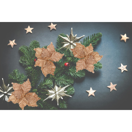 CV34186-3 STERN VON BETHLEHEM BLUME WEIHNACHTSSTERN FÜR WEIHNACHTSBAUM GROSS AUF FEDER SCHILF