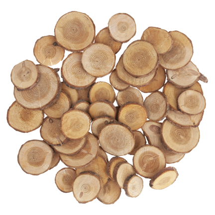 CV34574 HOLZSCHEIBEN NATUR DEKORATION IN EINER TASCHE DIY HANDWERK