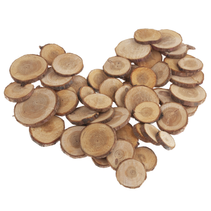 CV34574 HOLZSCHEIBEN NATUR DEKORATION IN EINER TASCHE DIY HANDWERK