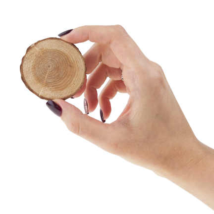 CV34574 HOLZSCHEIBEN NATUR DEKORATION IN EINER TASCHE DIY HANDWERK