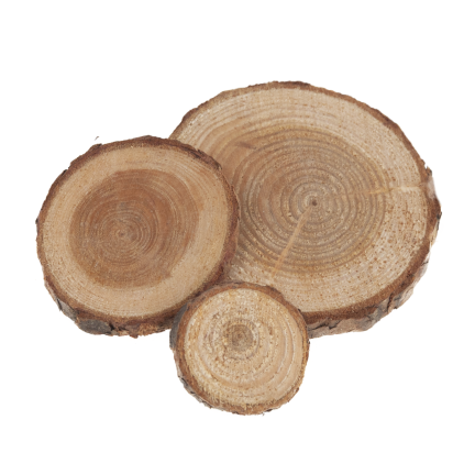 CV34574 HOLZSCHEIBEN NATUR DEKORATION IN EINER TASCHE DIY HANDWERK