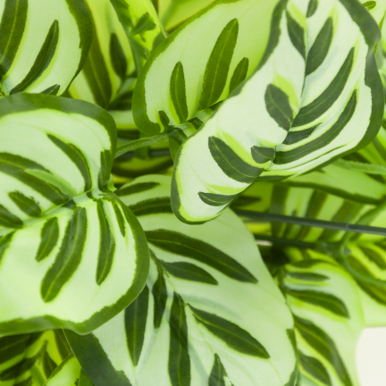 CV35212 Artificial Bouquet of Decorative Leaves, 7 Sprigs