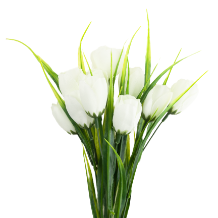 CV35281-1 KROKUS BUKIET X5 bialy