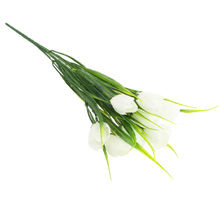 CV35281-1 KROKUS BUKIET X5 bialy