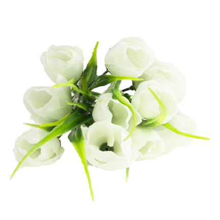 CV35281-1 KROKUS BUKIET X5 bialy