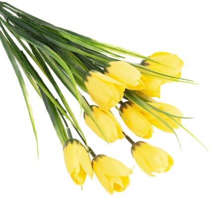 CV35281-2 KROKUS BUKIET X5 zolty