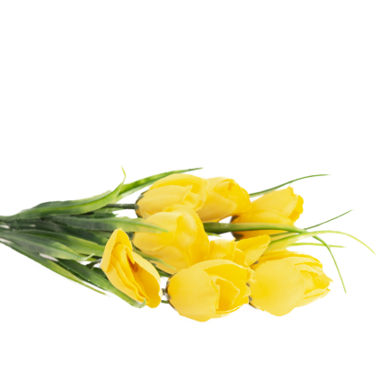 CV35281-2 KROKUS BUKIET X5 zolty