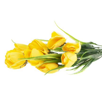 CV35281-2 KROKUS BUKIET X5 zolty