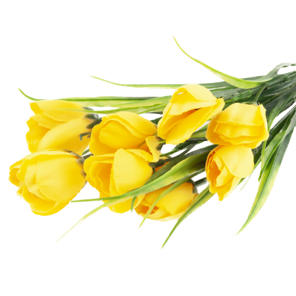 CV35281-2 KROKUS BUKIET X5 zolty