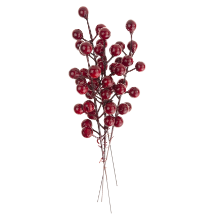 CV37142 OKRASNÁ VĚTEV NA VRCHOLU HLOH CESMÍNA JEŘÁB 4KS