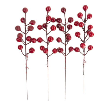 CV37142 OKRASNÁ VĚTEV NA VRCHOLU HLOH CESMÍNA JEŘÁB 4KS