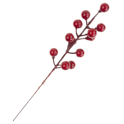 CV37142 OKRASNÁ VĚTEV NA VRCHOLU HLOH CESMÍNA JEŘÁB 4KS