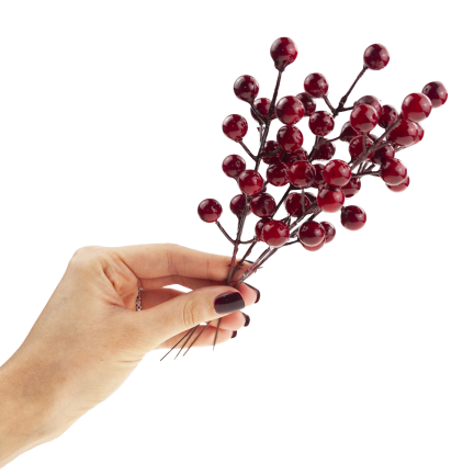 CV37142 OKRASNÁ VĚTEV NA VRCHOLU HLOH CESMÍNA JEŘÁB 4KS