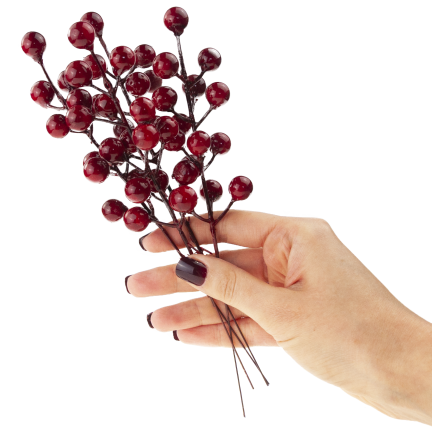 CV37142 OKRASNÁ VĚTEV NA VRCHOLU HLOH CESMÍNA JEŘÁB 4KS