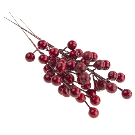 CV37142 OKRASNÁ VĚTEV NA VRCHOLU HLOH CESMÍNA JEŘÁB 4KS