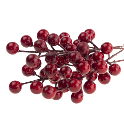 CV37142 OKRASNÁ VĚTEV NA VRCHOLU HLOH CESMÍNA JEŘÁB 4KS