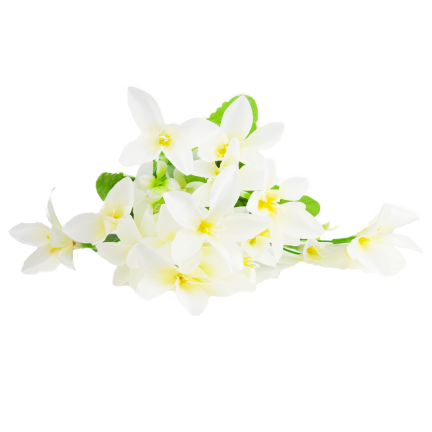 CV38046-1 Saffron Bouquet: 7 sprigs, leaves, grass, white, dense