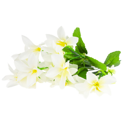 CV38046-1 Saffron Bouquet: 7 sprigs, leaves, grass, white, dense