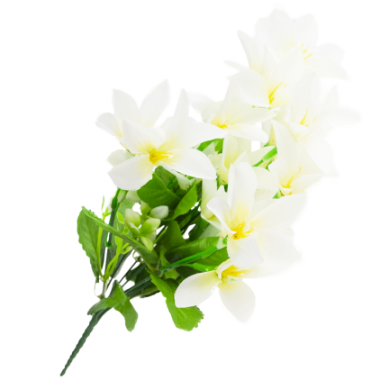 CV38046-1 Saffron Bouquet: 7 sprigs, leaves, grass, white, dense