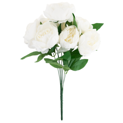 CV38309-1 PEONIA BUKIET X7 BIALY