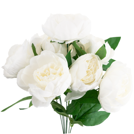 CV38309-1 PEONIA BUKIET X7 BIALY