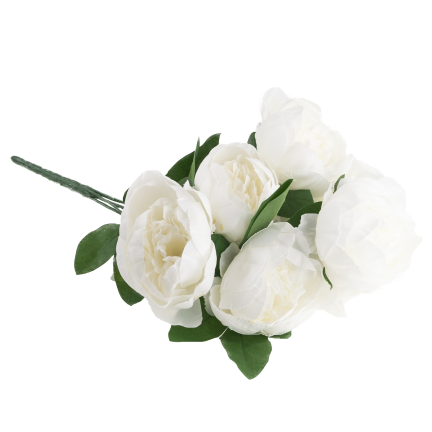 CV38309-1 PEONIA BUKIET X7 BIALY