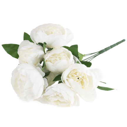 CV38309-1 PEONIA BUKIET X7 BIALY