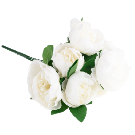 CV38309-1 PEONIA BUKIET X7 BIALY