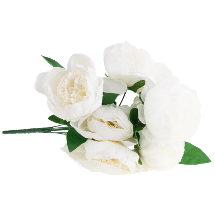 CV38309-1 PEONIA BUKIET X7 BIALY