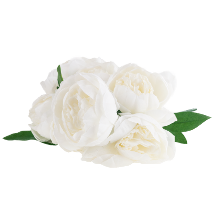 CV38309-1 PEONIA BUKIET X7 BIALY