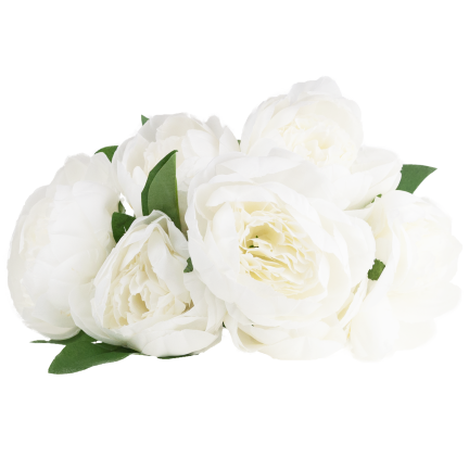 CV38309-1 PEONIA BUKIET X7 BIALY