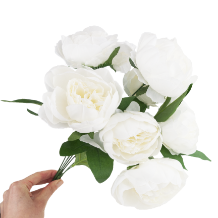 CV38309-1 PEONIA BUKIET X7 BIALY