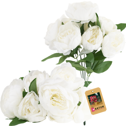 CV38309-1 PEONIA BUKIET X7 BIALY